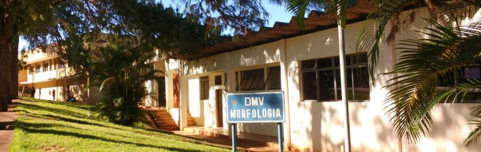 DMV
