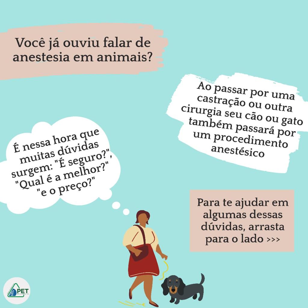anestesia em animais