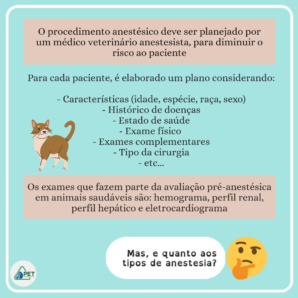 anestesia em animais 1